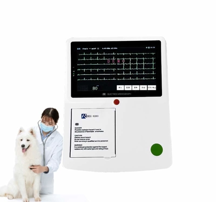 पशु चिकित्सा 12 लीड एकजी इलेक्ट्रोकार्डियोग्राम ईसीजी मशीन 3 चैनल प्रिंटर पीसी सॉफ्टवेयर